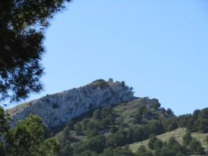 IMG_4452 (Medium)